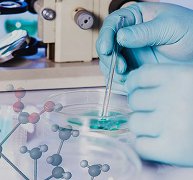 APIs & Intermediários